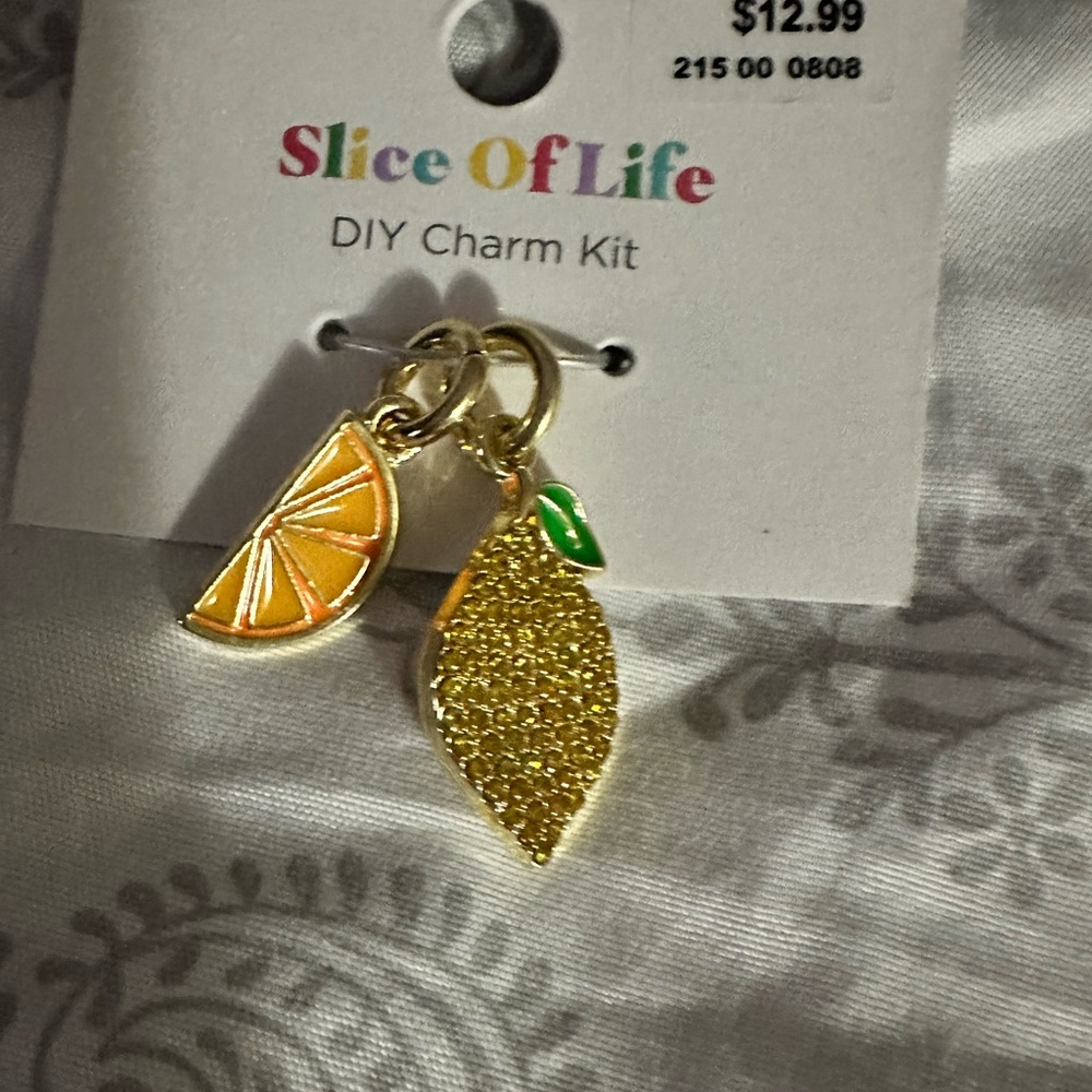 Slice Of Life DIY Charm Kit